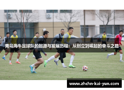 青岛海牛足球队的起源与发展历程：从创立到崛起的奋斗之路