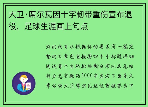 大卫·席尔瓦因十字韧带重伤宣布退役，足球生涯画上句点